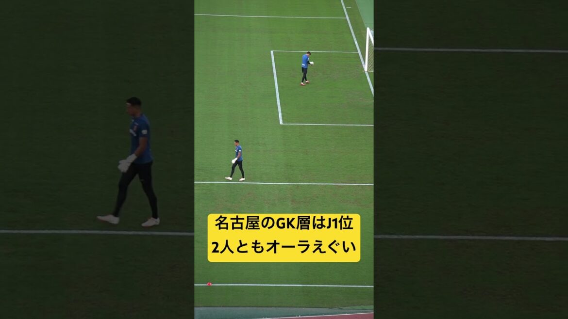ピサノ&シュミット🧤🧤🧤#名古屋グランパス #ピサノ #シュミットダニエル #ユンカー #山岸祐也 #和泉竜司 #マテウス #稲垣祥 #サッカー日本代表 #jリーグ