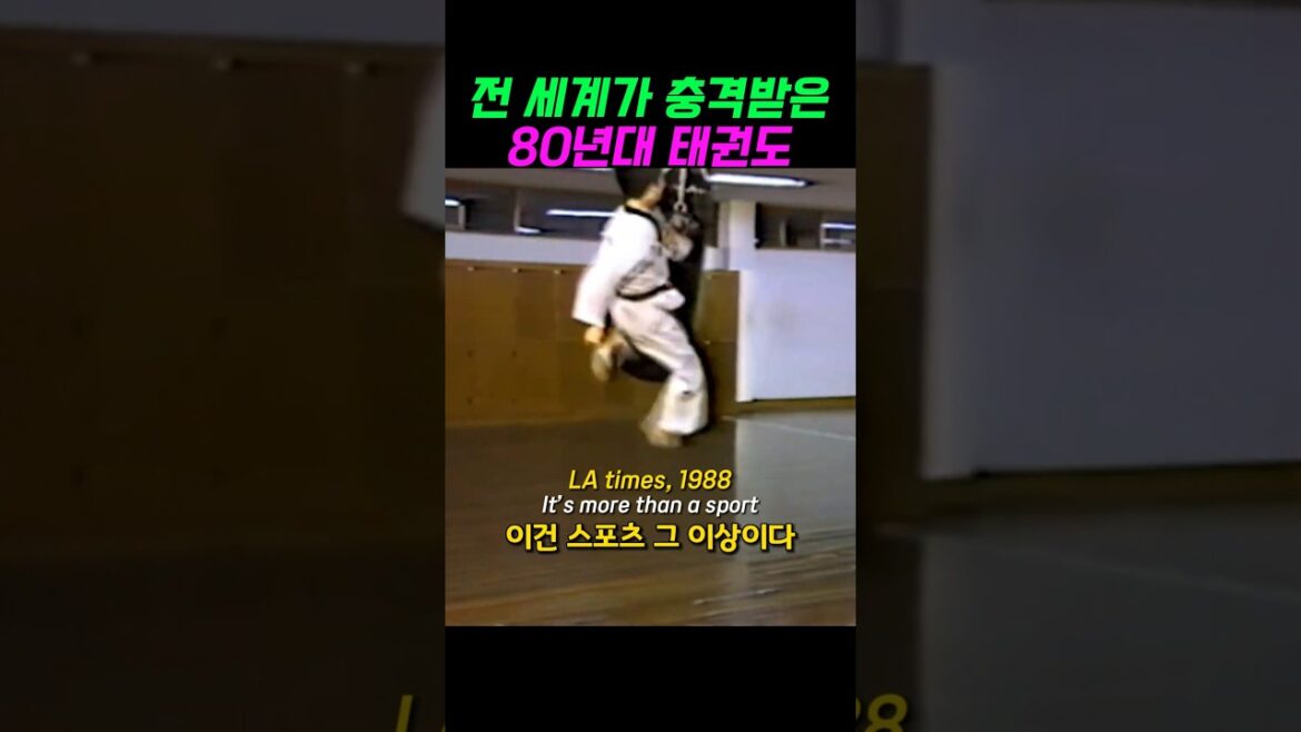 전 세계가 충격받은 80년대 태권도