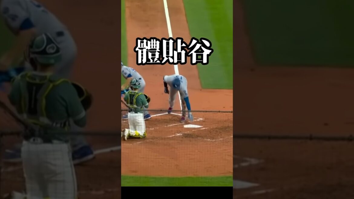 【暖男】大谷翔平暖心舉動!手觸壘+重扔禮物 展現 MVP 級球場禮儀與貼心魅力