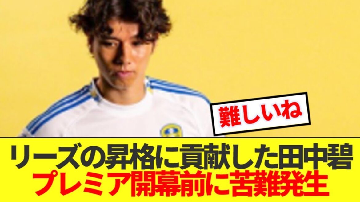 【悲報】田中碧、プレミア昇格のリーズ内で緊急事態!!