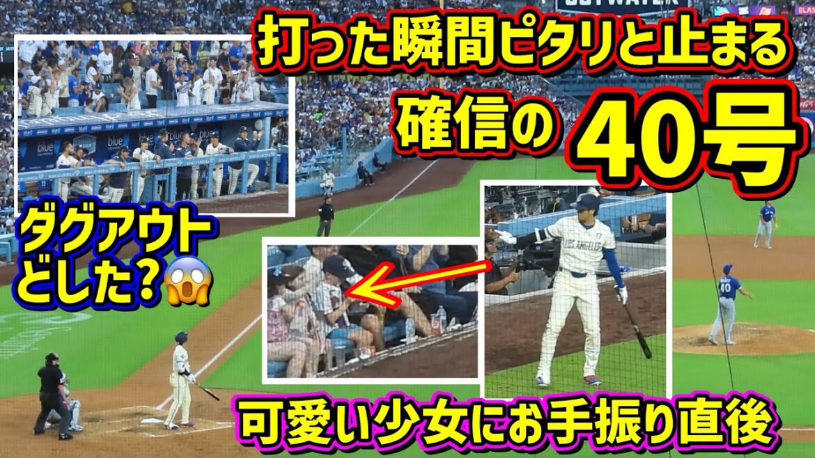 40号‼️確信のピタリ😆少女にファンサの直後に打った!その時ダグアウトが…😨 【現地映像】8/9vsブルージェイズShoheiOhtani Homerun