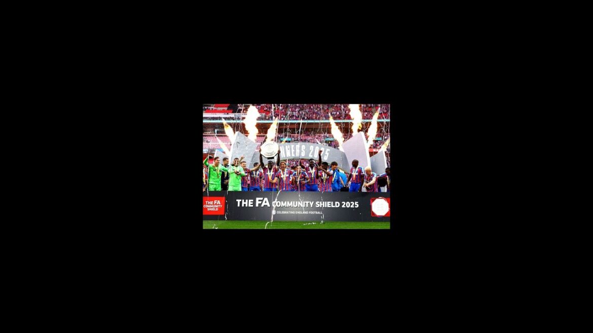 鎌田大地、パレス初優勝に貢献も右膝負傷!開幕戦は微妙か?