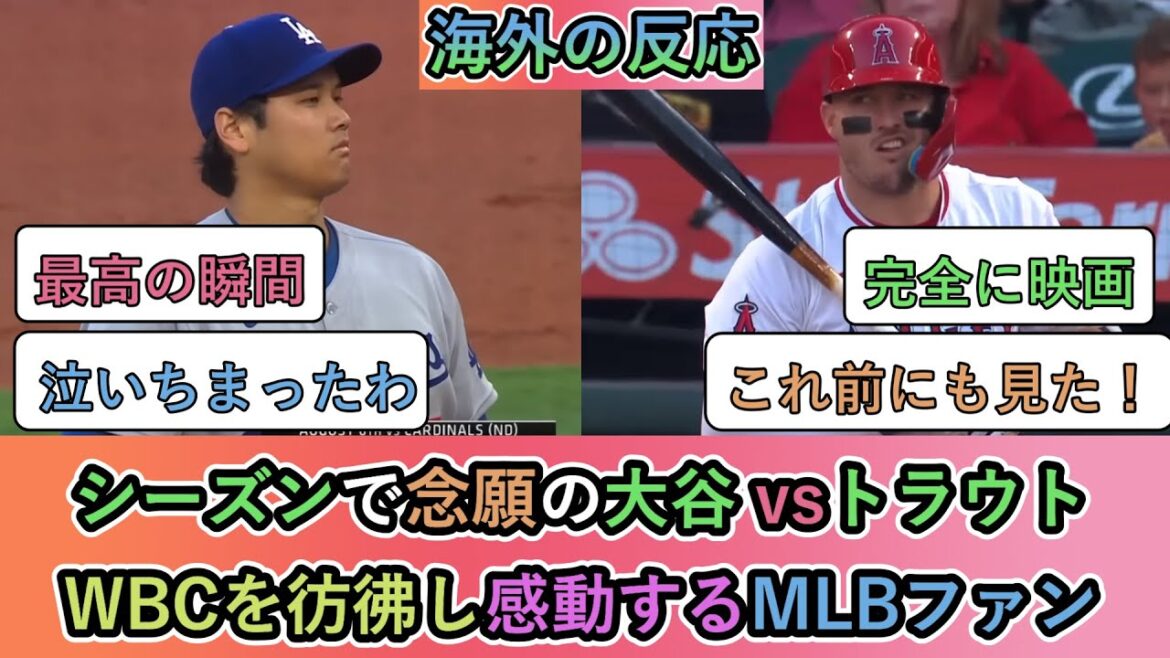 【海外の反応】レギュラーシーズンで念願の大谷翔平 vsトラウト!WBCを彷彿し感動するMLBファン