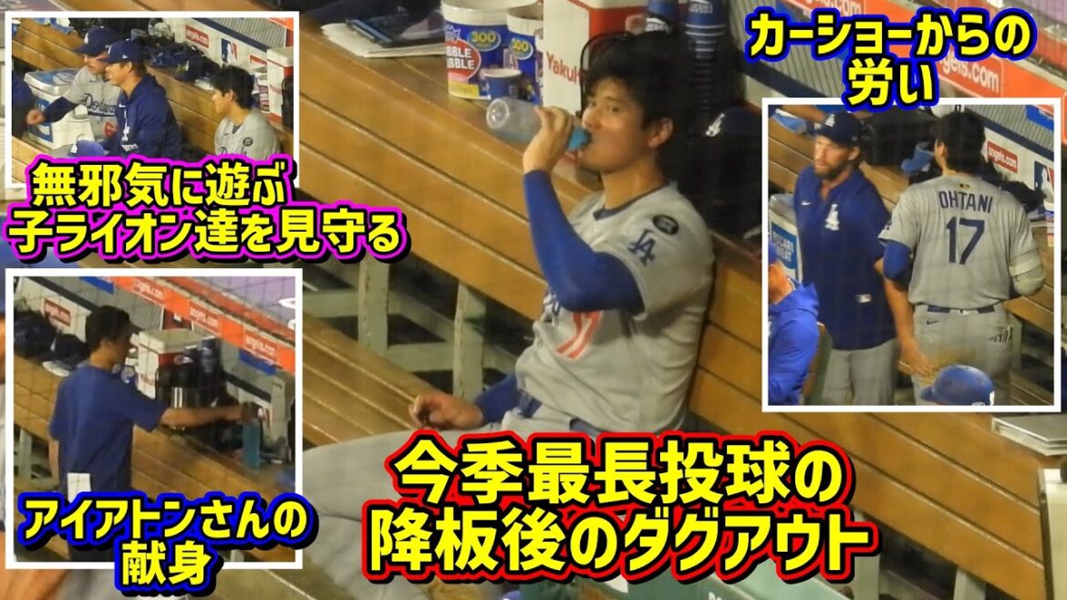目撃‼️二刀流大谷 降板後のダグアウトが最高だった🥹 【現地映像】8/13エンゼルスvsドジャースフリーウェイシリーズShoheiOhtani