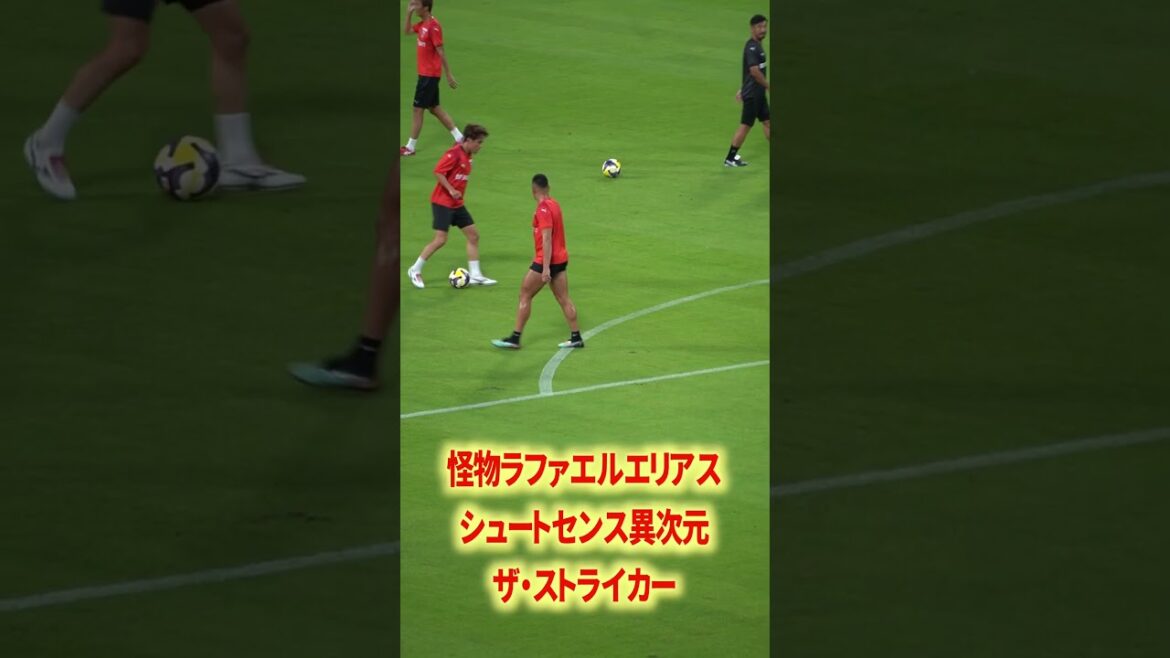 エリアスシュートバケモン#名古屋グランパス #ピサノ #シュミットダニエル #ユンカー #山岸祐也 #和泉竜司 #マテウス #稲垣祥 #サッカー日本代表 #jリーグ