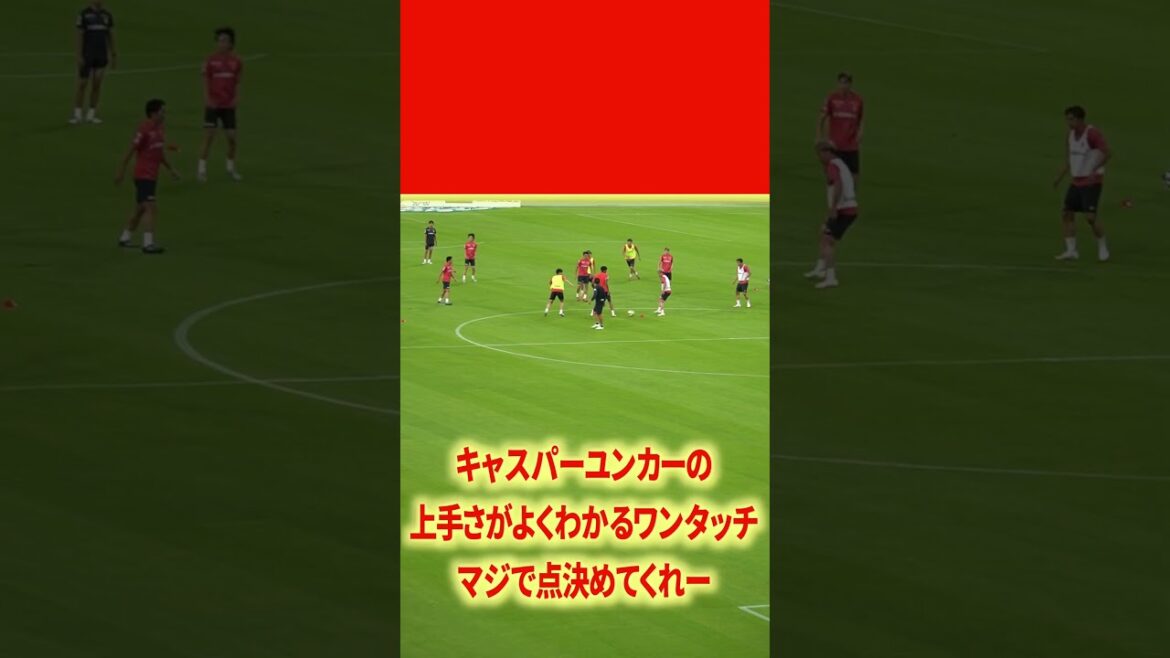 キャスパーユンカーの上手さよ#名古屋グランパス #ピサノ #シュミットダニエル #ユンカー #山岸祐也 #和泉竜司 #マテウス #稲垣祥 #サッカー日本代表 #jリーグ