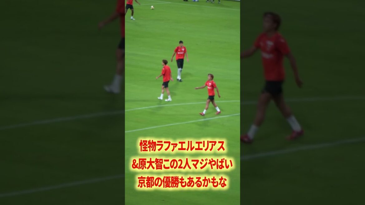 エリアス&原異次元#名古屋グランパス #ピサノ #シュミットダニエル #ユンカー #山岸祐也 #和泉竜司 #マテウス #稲垣祥 #サッカー日本代表 #jリーグ