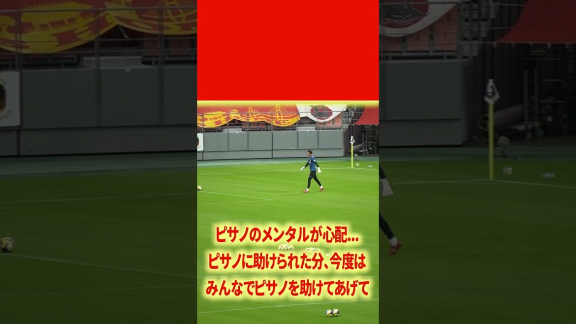 ピサノのメンタルが心配#名古屋グランパス #ピサノ #シュミットダニエル #ユンカー #山岸祐也 #和泉竜司 #マテウス #稲垣祥 #サッカー日本代表 #jリーグ