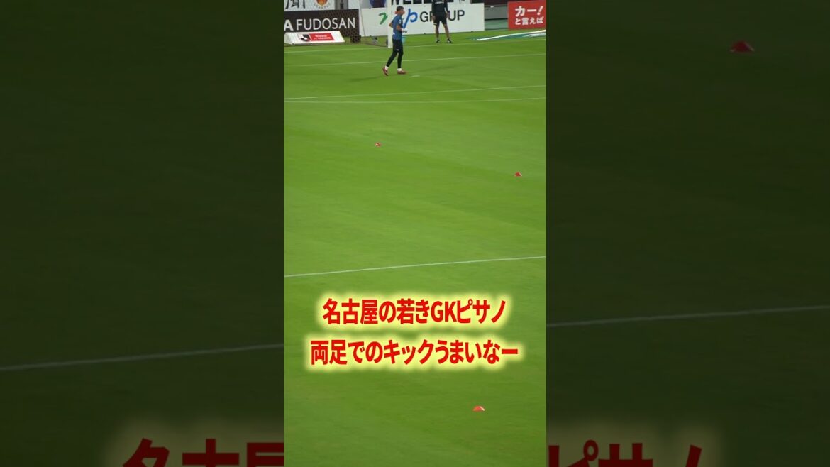 ピサノキック上手い#名古屋グランパス #ピサノ #シュミットダニエル #ユンカー #山岸祐也 #和泉竜司 #マテウス #稲垣祥 #サッカー日本代表 #jリーグ #川崎フロンターレ