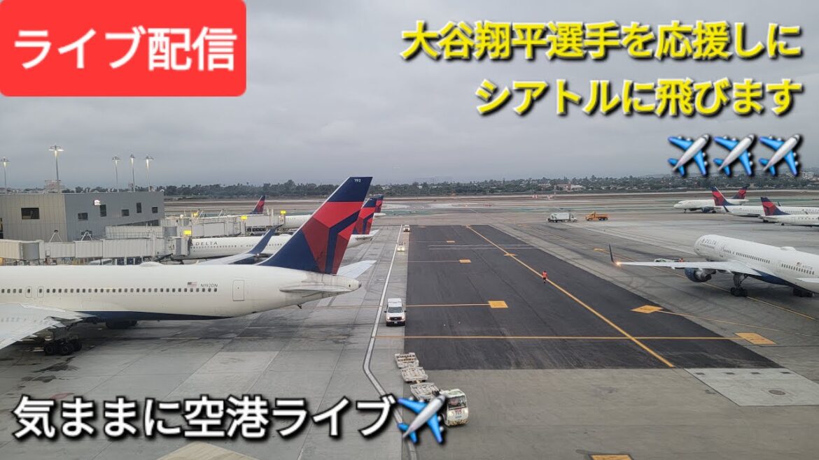【ライブ配信】大谷翔平選手を応援しにシアトルに飛びます✈️✈️✈️気ままに空港ライブ✈️Shinsuke Handyman がライブ配信中!