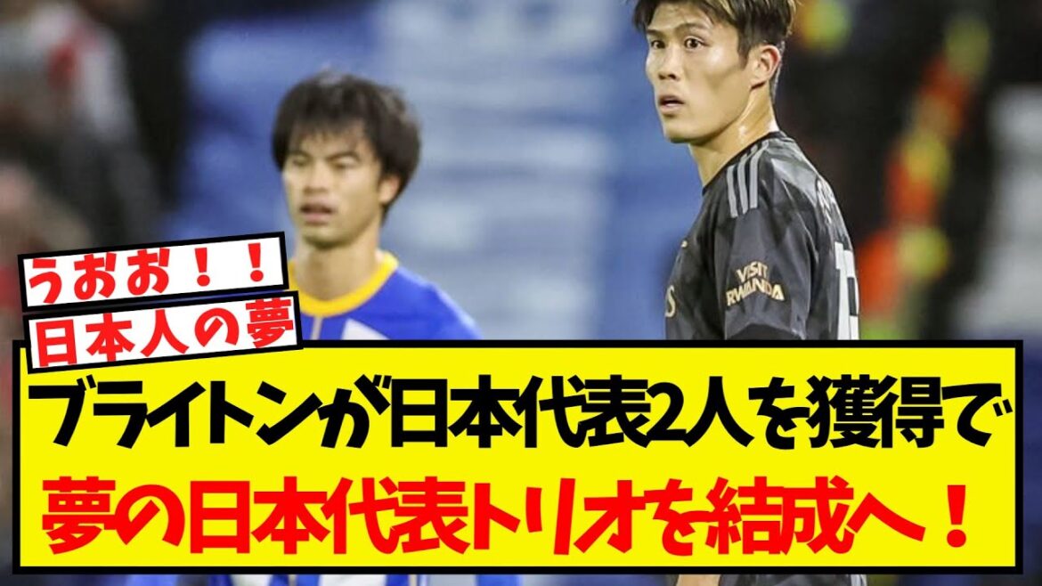 ブライトン、夢の日本代表トリオを結成しようとしている模様ww