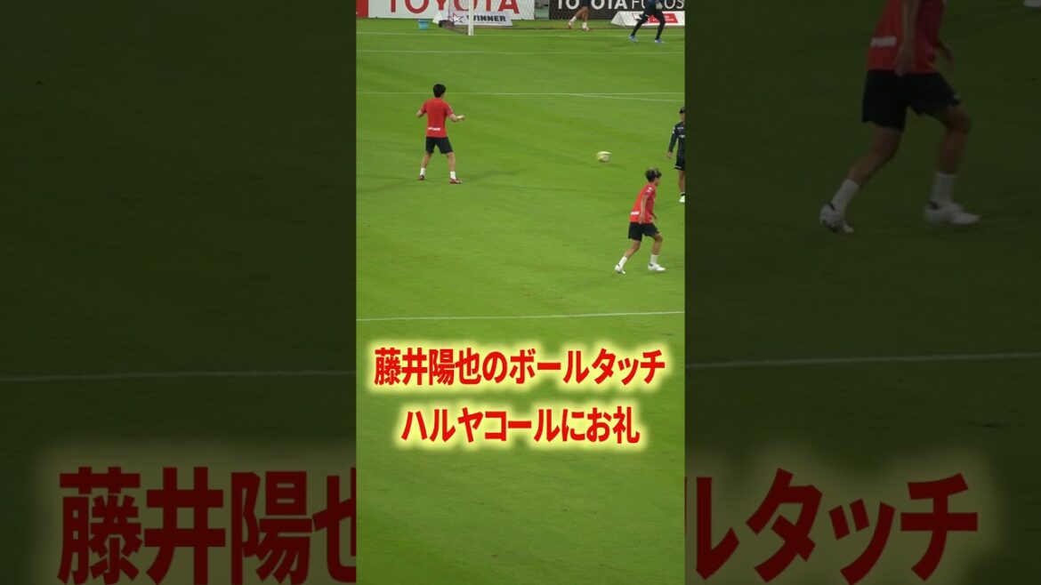 藤井のボールタッチ#名古屋グランパス #ピサノ #シュミットダニエル #ユンカー #山岸祐也 #和泉竜司 #マテウス #稲垣祥 #サッカー日本代表 #jリーグ #川崎フロンターレ