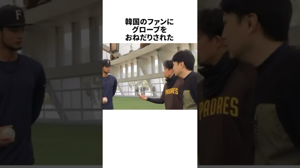ダルビッシュが韓国人に「グローブをくれ」と言われた結果… #野球 #プロ野球 #野球雑学
