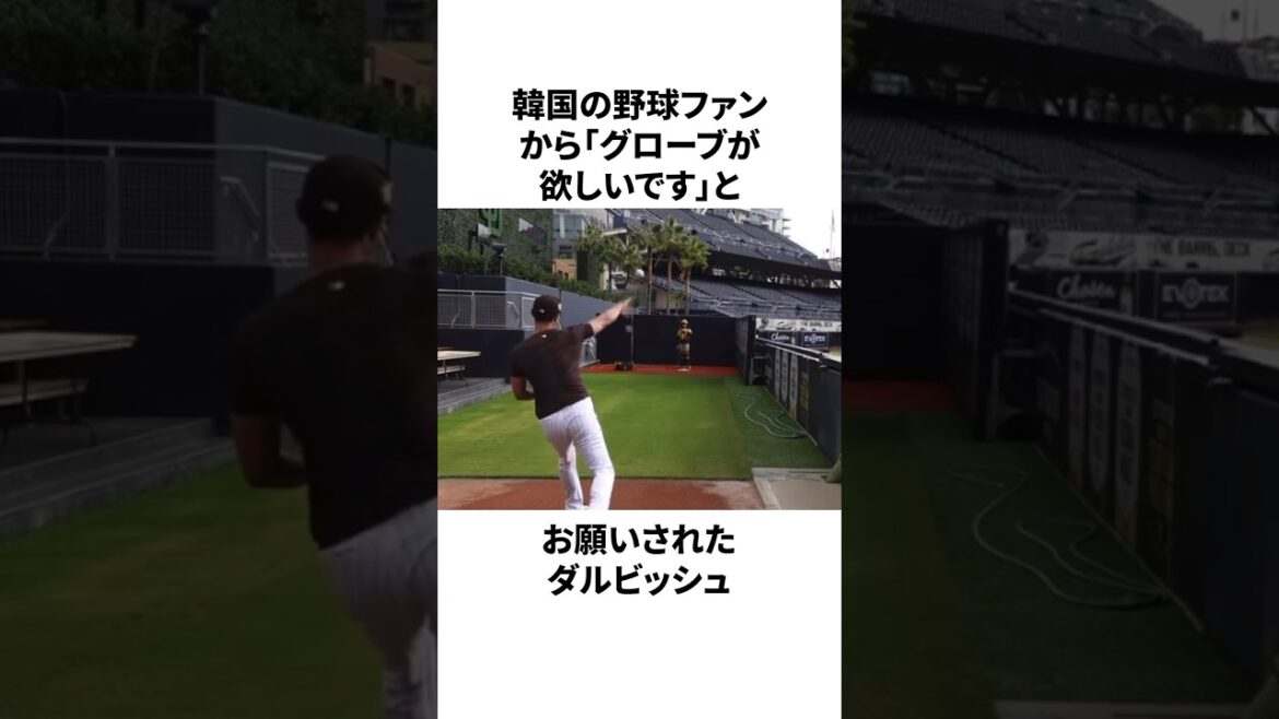 「韓国人ファンにグローブが欲しいと頼まれた」ダルビッシュ有についての雑学 #プロ野球 #野球 #npb