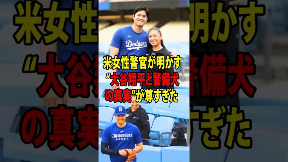 【大谷翔平】あるアメリカ人女性警察官が語った、大谷翔平と彼女の警察犬にまつわる感動の物語。【海外の反応 MLBメジャー 野球】