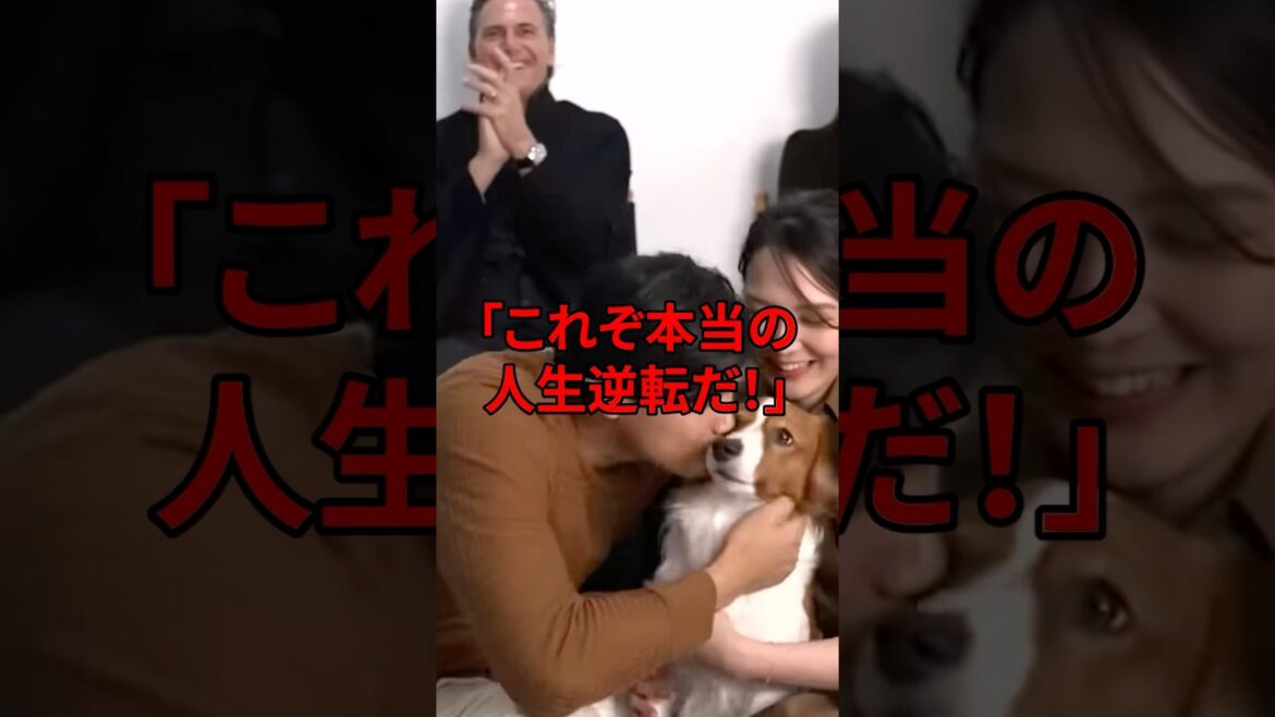 大谷翔平のトレーディングカードの衝撃価格に世界が騒然