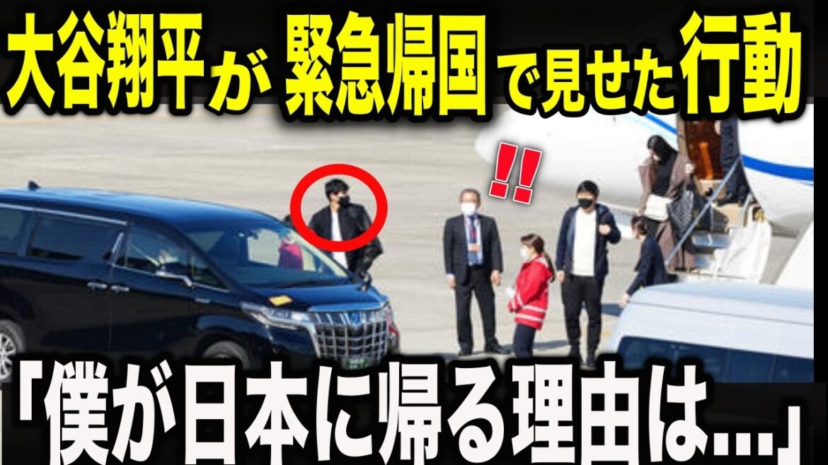 大谷翔平が緊急帰国で向かった先とは?どれだけ忙しくても故郷に帰ってくる理由に感動 !!1000億稼いでも故郷愛を忘れない人間性と大谷翔平の新たな決意とは?