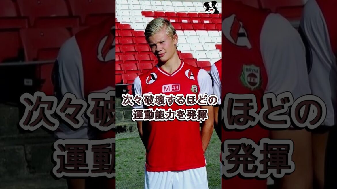 9歳で完成していたハーランドの才能が異次元