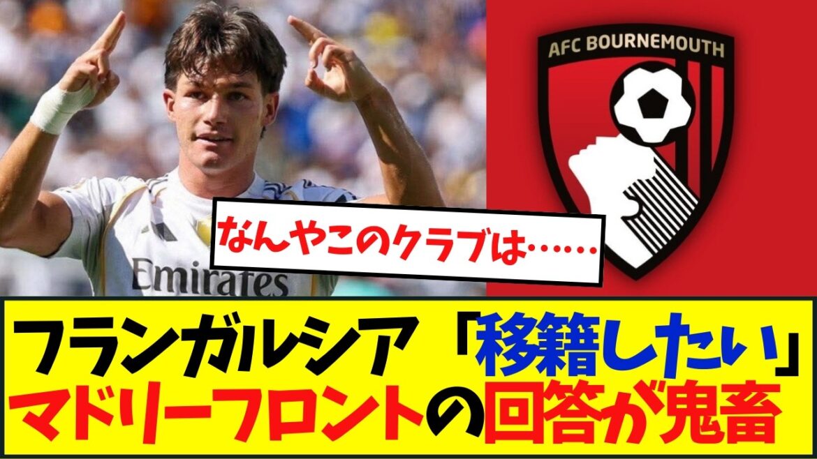 売らないの？ フラン・ガルシア移籍騒動がこちら→