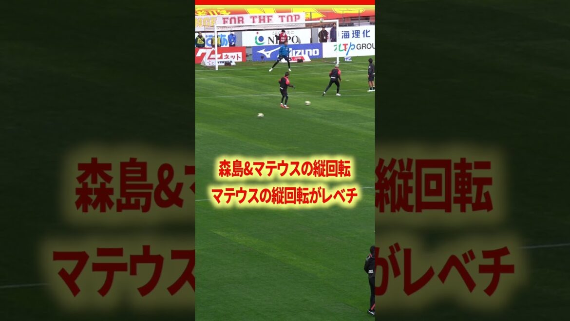 マテウス×大迫シュート上手すぎ