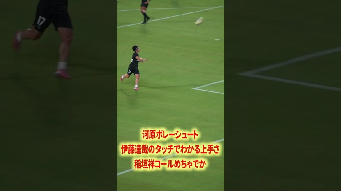 伊藤×大関うんまいな