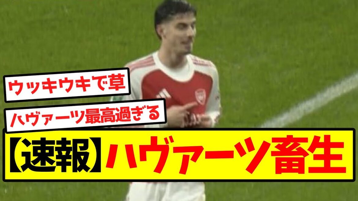 【速報】ハヴァーツ、畜生
