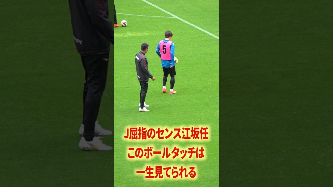 今季も楽しみな江坂×ルカオ