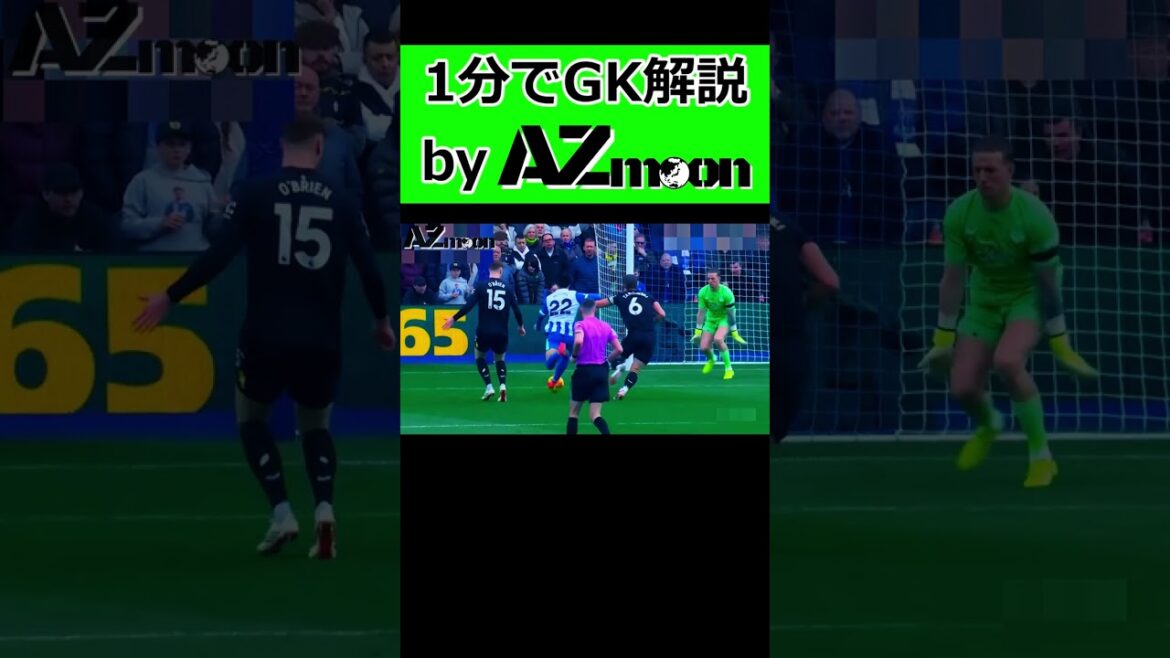 三笘薫のプレーをGK目線で解説！#AZmoon #海外サッカー #プレミアリーグ #サッカー  #サッカー日本代表 #ゴールキーパー#三笘薫 #ピックフォード #ブライトン #エバートン