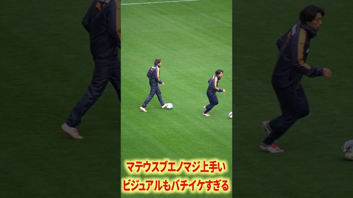 マテウスブエノマジで上手すぎる