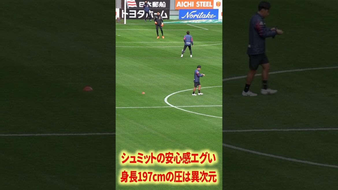 シュミットダニエル身長197cmの圧