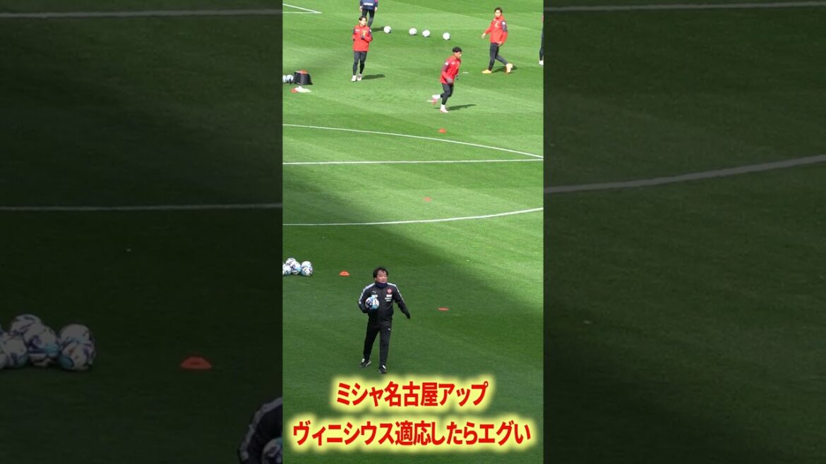 ヴィニシウス適応したらエグい