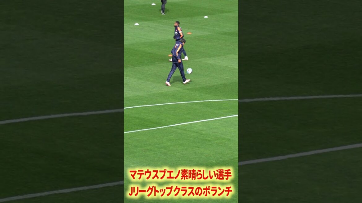 マテウスブエノリフティング