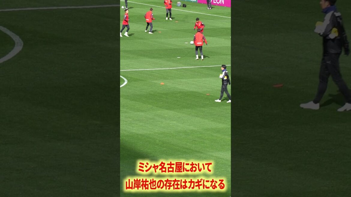 ミシャ名古屋のキー選手は山岸祐也
