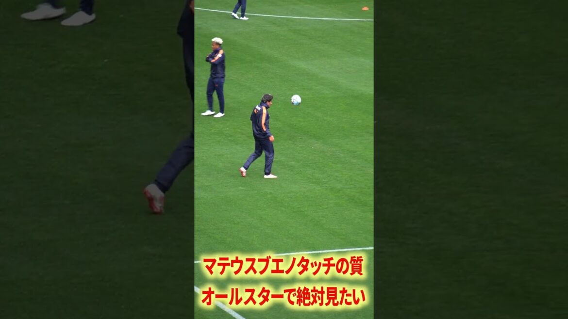 マテウスブエノタッチの質