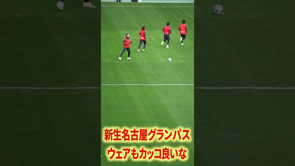 新生名古屋はマジで期待