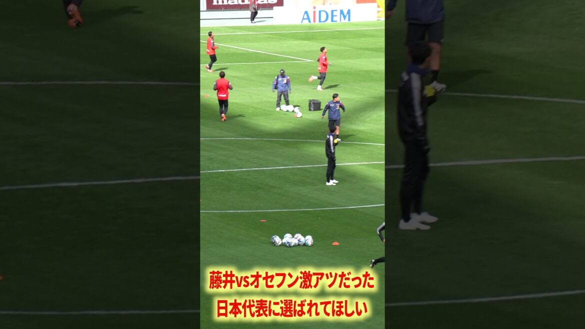 藤井は日本代表に選ばれるポテンシャル