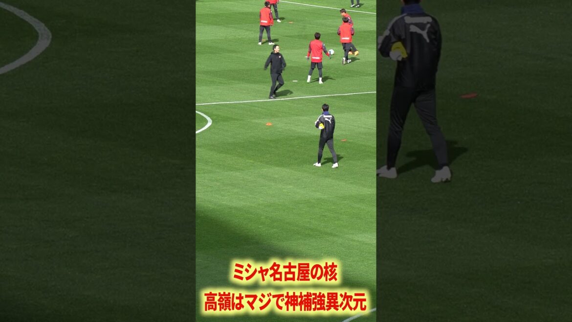 高嶺は異次元の存在感だった