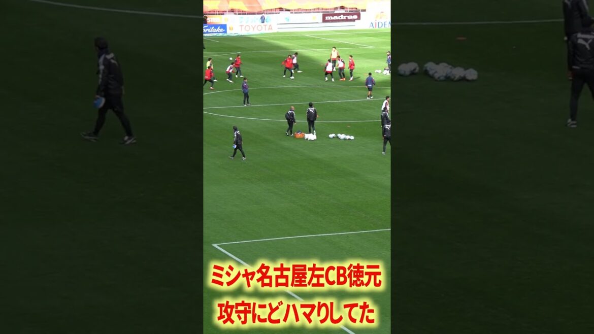 ミシャ名古屋徳元スーパーだった