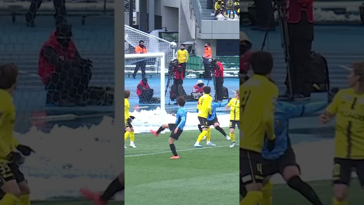 【GOAL】松長根 悠仁(68’)|明治安田J1百年構想リーグ EASTグループ 第1節 vs柏 #川崎フロンターレ#frontale 【GOAL】松長根 悠仁(68')|明治安田J1百年構想リーグ EASTグループ 第1節 vs柏 #川崎フロンターレ#frontale