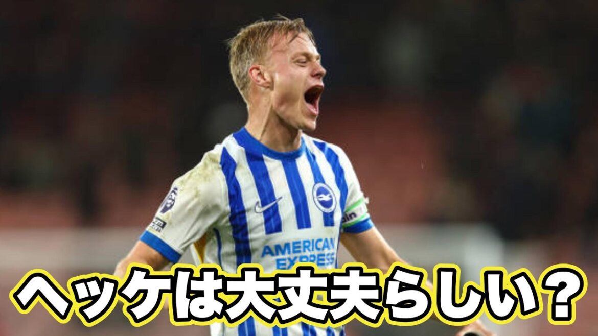 ヘッケ大丈夫らしい？？