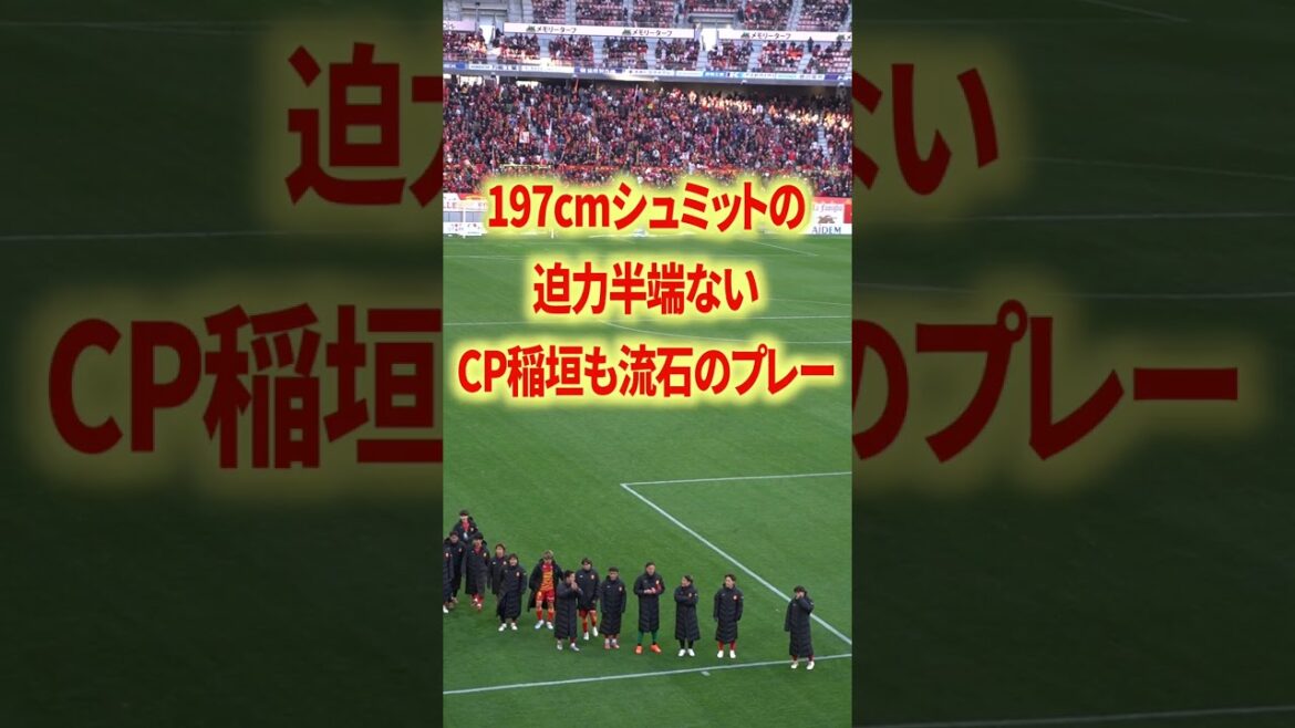 197cmシュミットダニエル代表復帰期待 197cmシュミットダニエル代表復帰期待