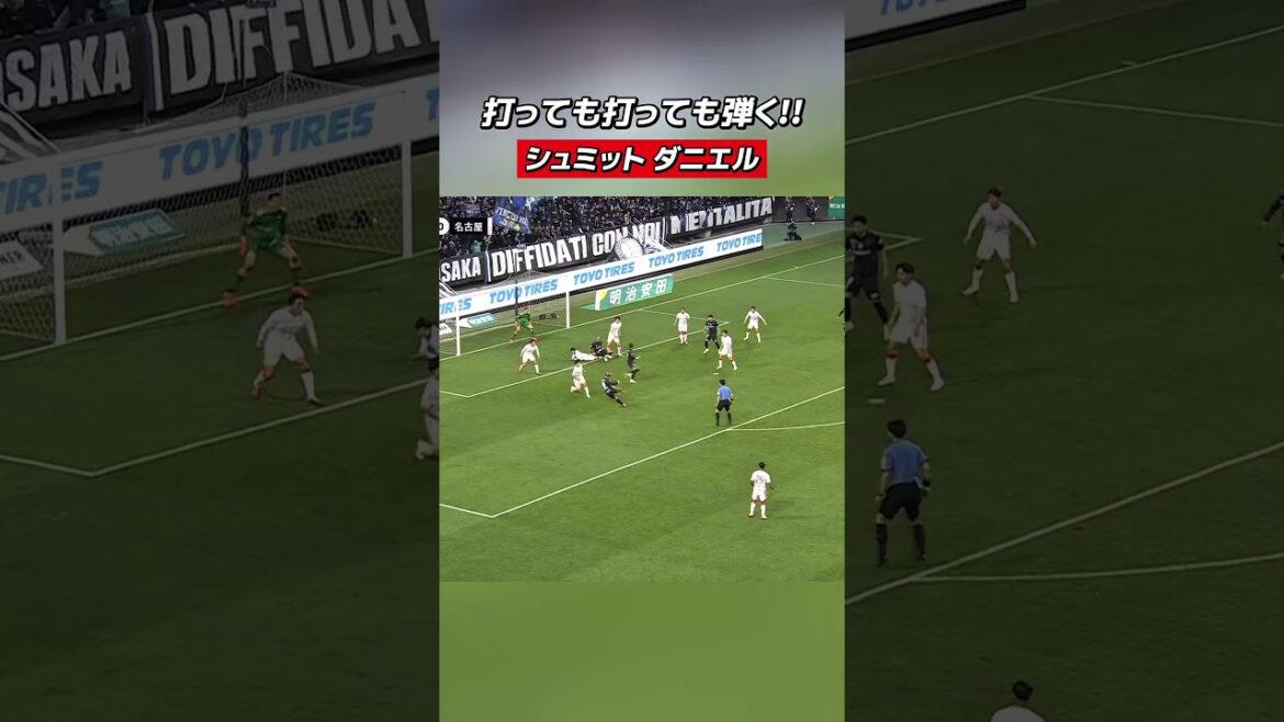 うってもうっても弾く🔥名古屋の守護神 #シュミットダニエル 選手