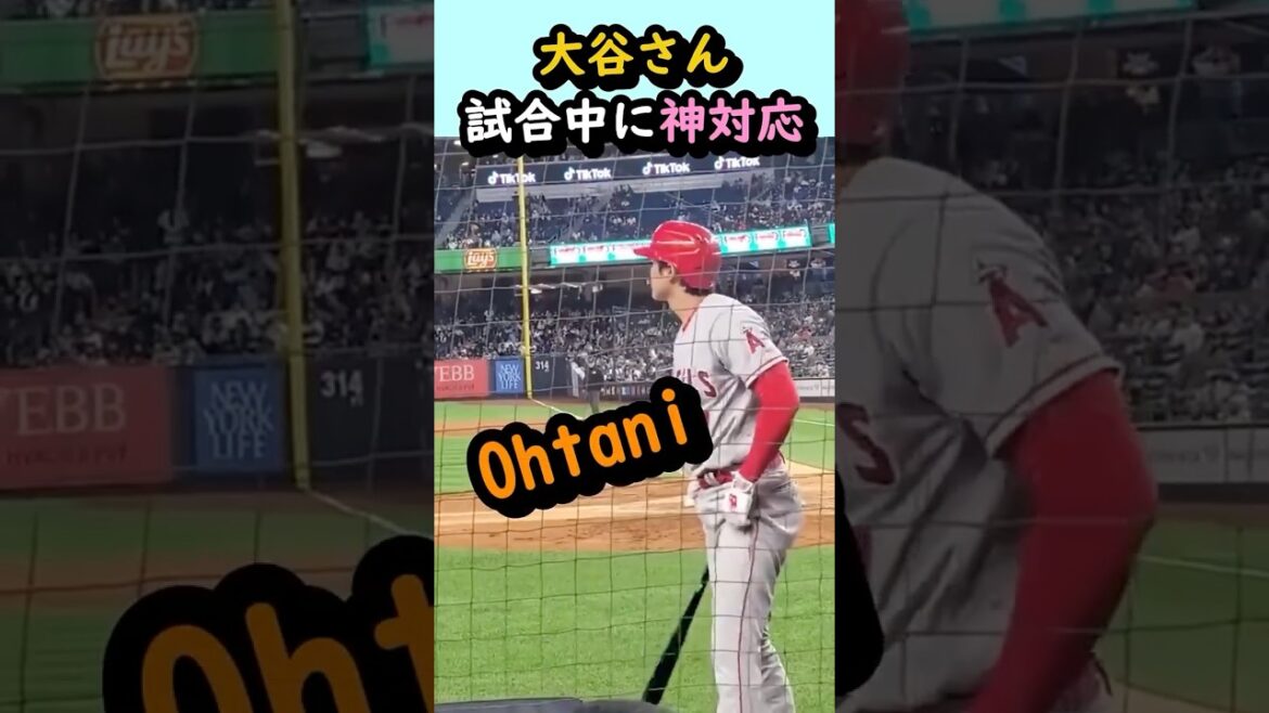 大谷翔平の行動に子供も大人も大興奮w #大谷翔平 #ドジャース #海外の反応