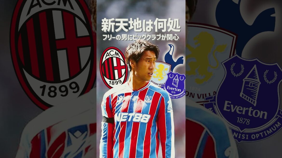 鎌田大地が今回クリスタルパレスを退団、移籍へ #プレミアリーグ #鎌田大地 #クリスタルパレス #acミラン #トッテナム #エヴァートン #アストンヴィラ