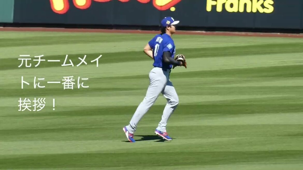 大谷翔平選手、エンジェルスの仲間と再会の挨拶!一番最初に一目散に走って行きました。#shoheiohtani #dodgers#angels#diablostadium#アリゾナキャンプ現地映像