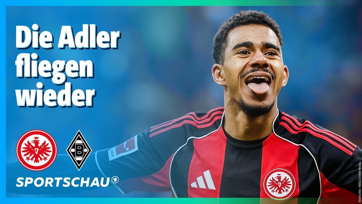 Eintracht Frankfurt – Borussia Mönchengladbach Highlights Bundesliga, 22. Spieltag | Sportschau