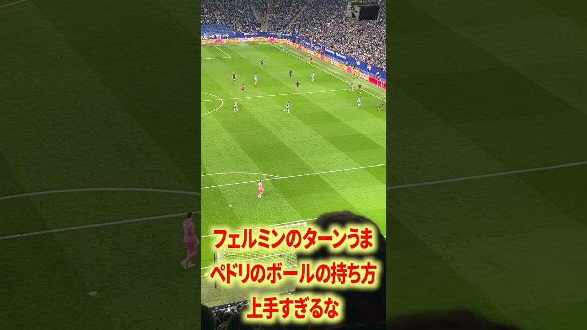 フェルミンのキレやばすぎ