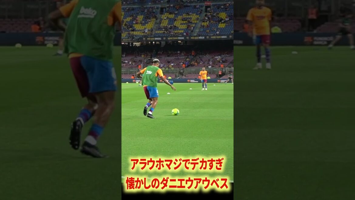 近すぎるアラウホ