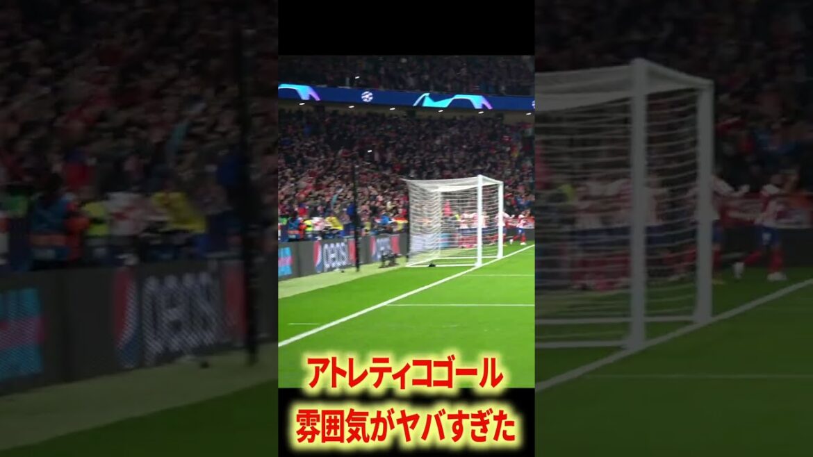 アトレティコの雰囲気エグすぎる アトレティコの雰囲気エグすぎる