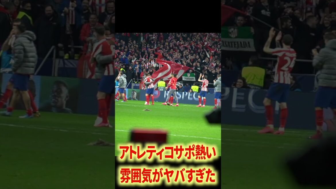 オブラクマジでエグいよなー オブラクマジでエグいよなー